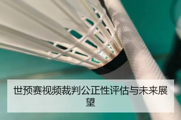 世预赛视频裁判公正性评估与未来展望