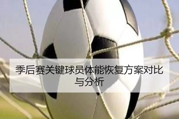 季后赛关键球员体能恢复方案对比与分析